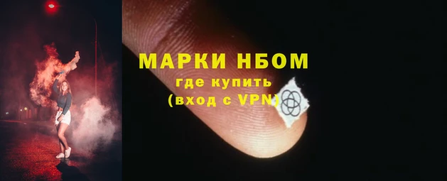 стаф Горнозаводск
