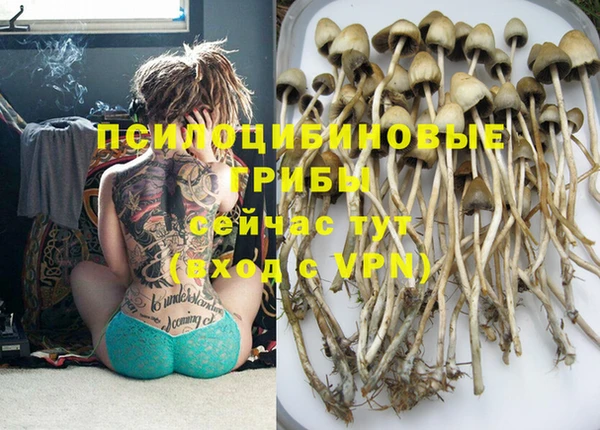 первитин Горняк