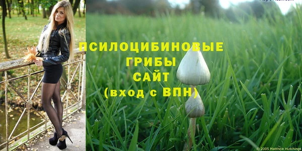 первитин Горняк