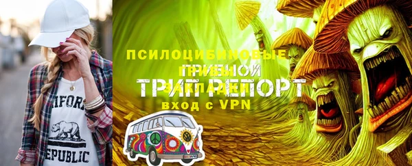 стаф Горнозаводск