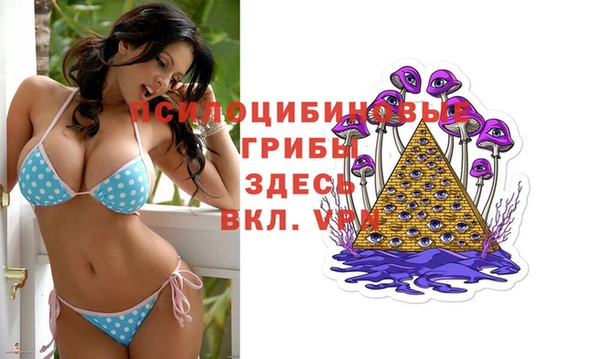 дживик Крымск