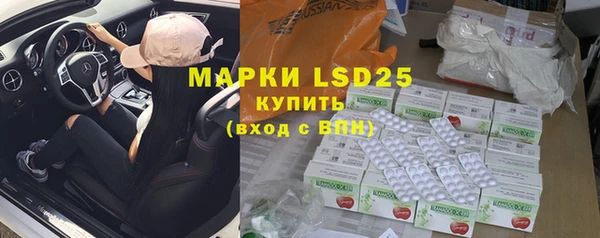 стаф Горнозаводск