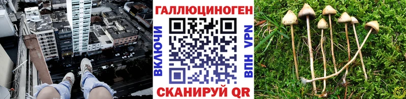 Галлюциногенные грибы MAGIC MUSHROOMS Окуловка