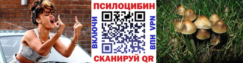 Галлюциногенные грибы Psilocybine cubensis  цены наркотик  Окуловка 